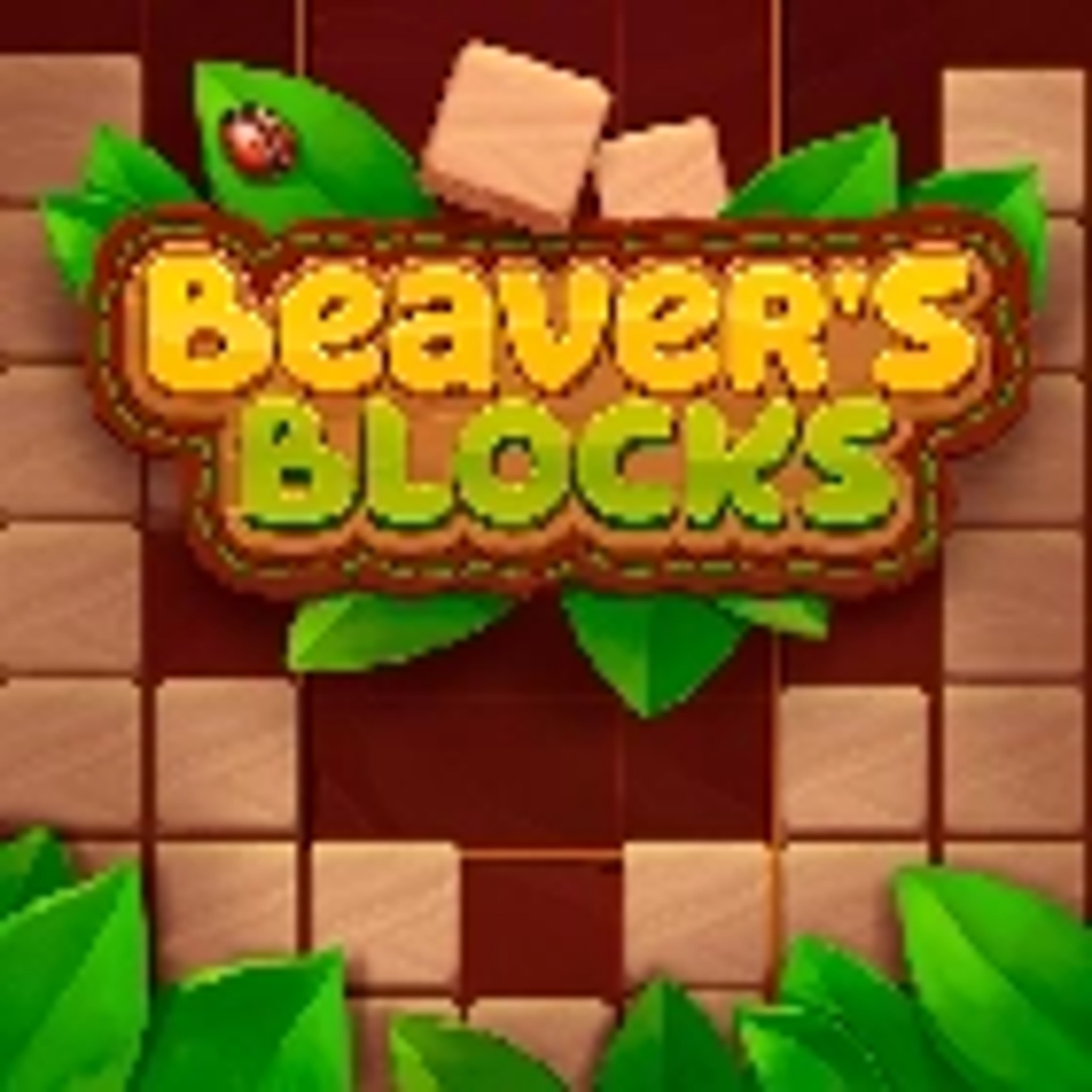 Beaver@@s Blocks