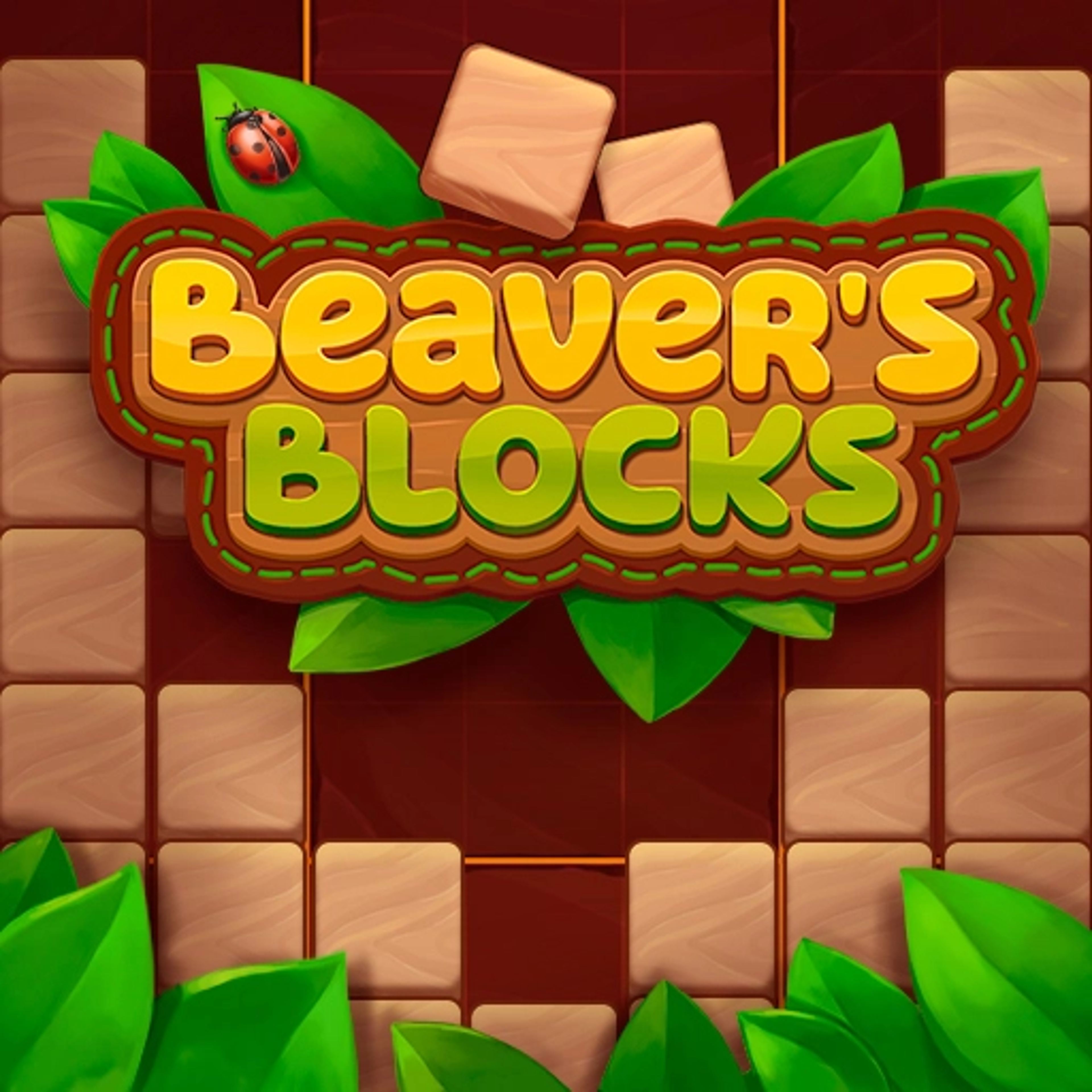 Beaver@@s Blocks